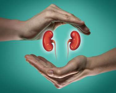 Nephrology Service